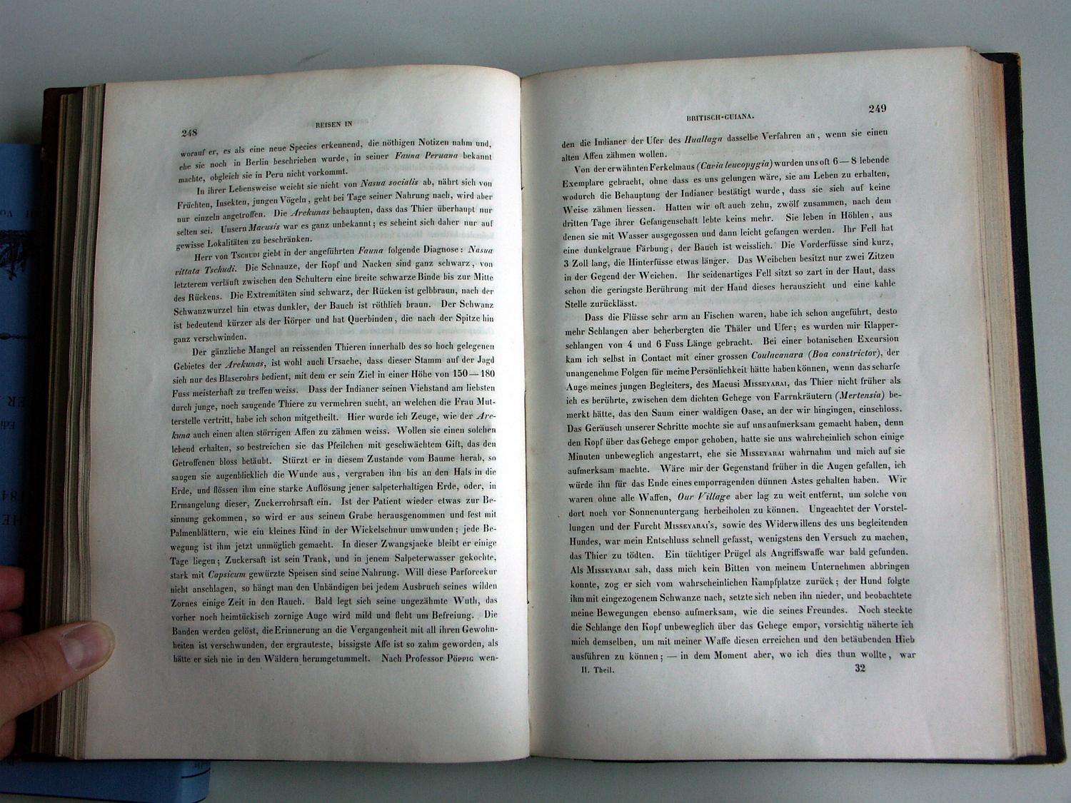 ZZ-RISC48,S.248 Jagd ohne zu töten und zähmen alter Affen